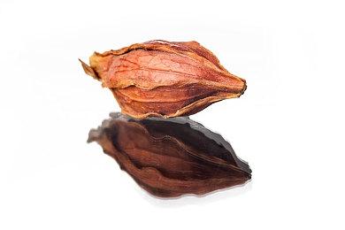 《星刃》开发者日志“旅程” 4月26日发售